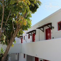 фото из отзыва ID 1706785