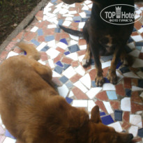 фото из отзыва ID 1706801