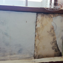 фото из отзыва ID 1706818