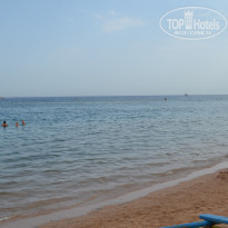 фото из отзыва ID 1706829