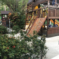 фото из отзыва ID 1706847