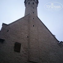 фото из отзыва ID 1706861