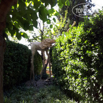 фото из отзыва ID 1706867