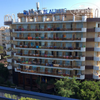 фото из отзыва ID 1706867