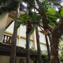 фото из отзыва ID 1701513