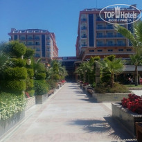 фото из отзыва ID 1707004