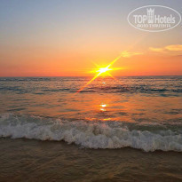 фото из отзыва ID 1707044