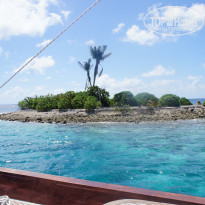 фото из отзыва ID 1706912