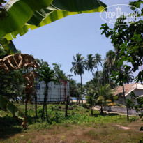 фото из отзыва ID 1707101