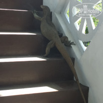 фото из отзыва ID 1707101