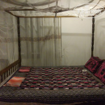 фото из отзыва ID 1707101