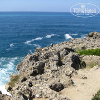 фото из отзыва ID 1707174