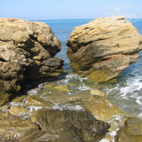 фото из отзыва ID 1707174