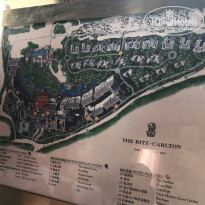 фото из отзыва ID 1707181