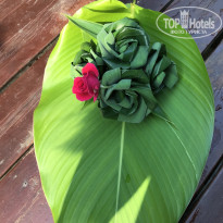 фото из отзыва ID 1707271