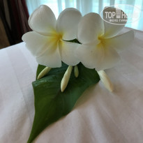 фото из отзыва ID 1707271