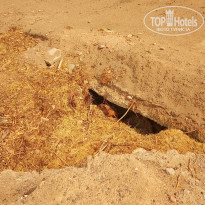 фото из отзыва ID 1707325