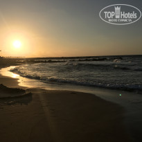 фото из отзыва ID 1707391