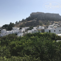 фото из отзыва ID 1707422