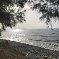 фото из отзыва ID 1707422