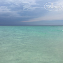 фото из отзыва ID 1707455