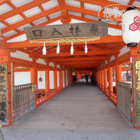 фото из отзыва ID 1707701