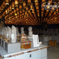 фото из отзыва ID 1707701