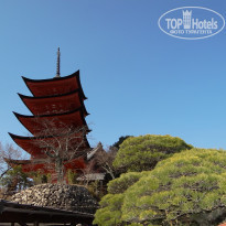 фото из отзыва ID 1707701