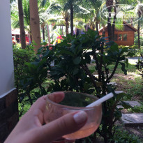 фото из отзыва ID 1707715