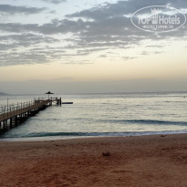 фото из отзыва ID 1707769