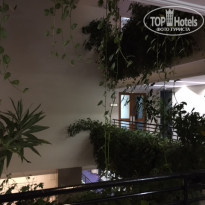 фото из отзыва ID 1707835