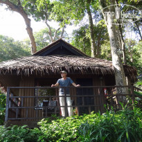 фото из отзыва ID 1707915