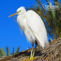 фото из отзыва ID 1707936