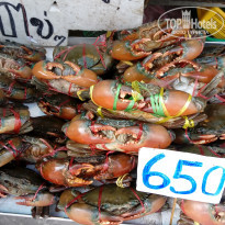 фото из отзыва ID 1707959