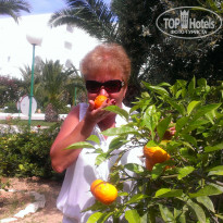 фото из отзыва ID 1707983