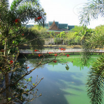 фото из отзыва ID 1708066