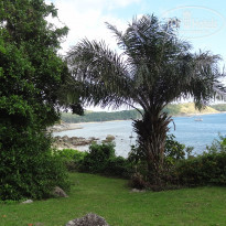 фото из отзыва ID 1707915