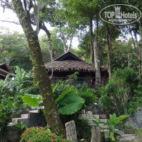 фото из отзыва ID 1707915