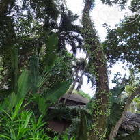 фото из отзыва ID 1707915