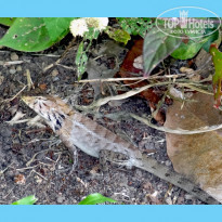 фото из отзыва ID 1707915