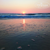 фото из отзыва ID 1708112