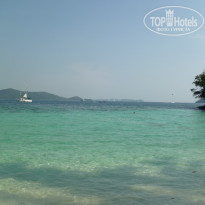 фото из отзыва ID 1708120