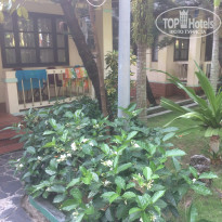 фото из отзыва ID 1708149