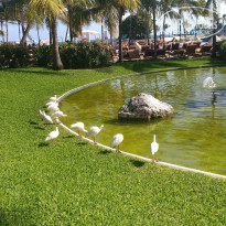 фото из отзыва ID 1707930