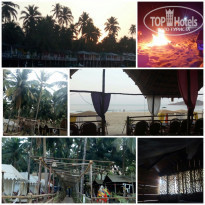 фото из отзыва ID 1708262