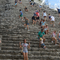 фото из отзыва ID 1708296