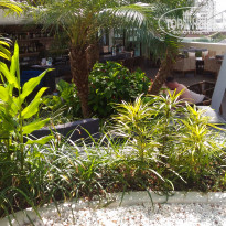 фото из отзыва ID 1708334