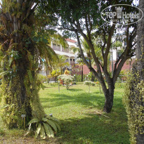 фото из отзыва ID 1708349