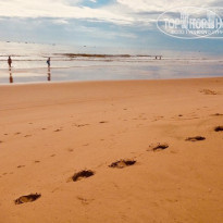 фото из отзыва ID 1708352