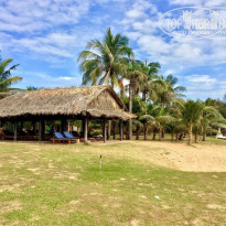 фото из отзыва ID 1708352